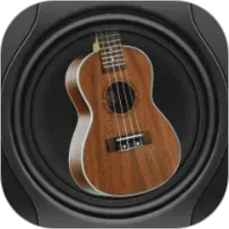 tuner t1调音器 v1.7